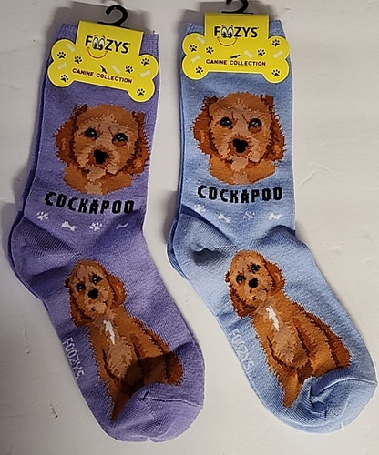 Foozys canine cockapoo dog - canine,