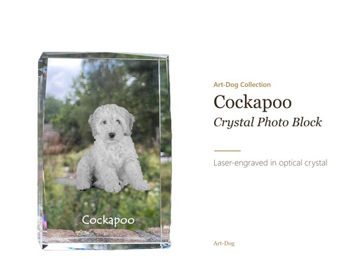 Cockapoo personalized photo - personalized,
