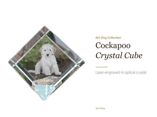 Cockapoo personalized photo - cockapoo,