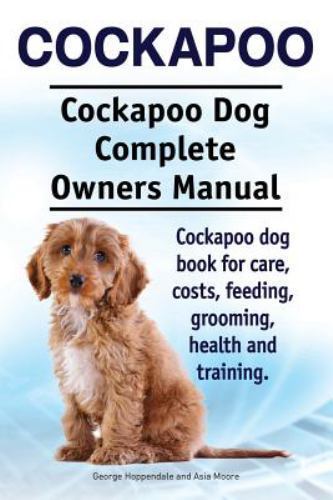 Cockapoo dog - cockapoo.,