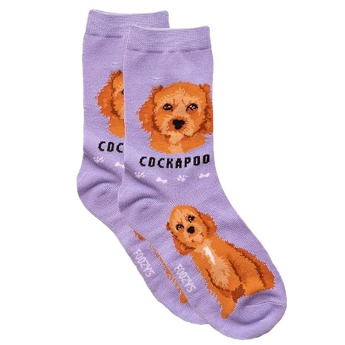 Cockapoo foozys fun - cockapoo,