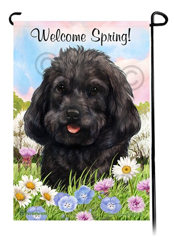 Cockapoo welcome spring garden - spring,