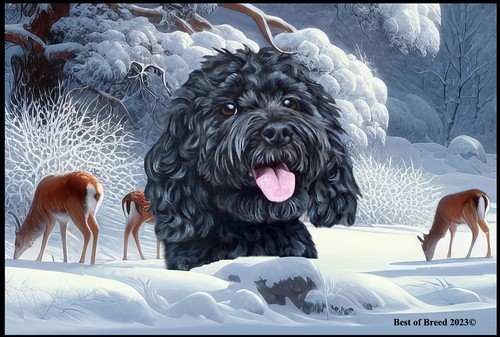 Cockapoo winter wonderland - cockapoo,